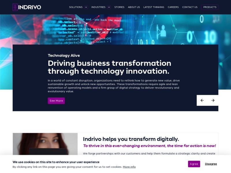 indrivo.com